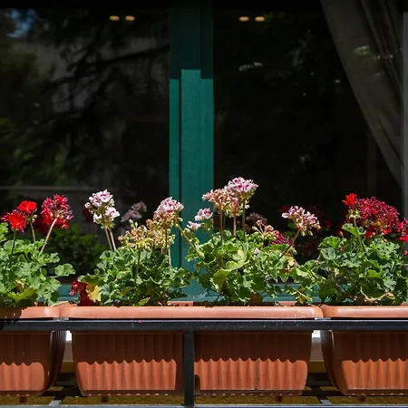 Mullaga Premium Stays Tirana